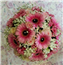 Eileen Jenkins gerbera and gyp compact 