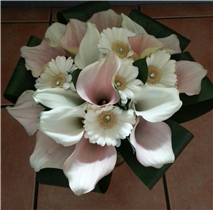 ivory and pink blush cala lily bouquet