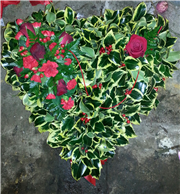 holly based closed heart