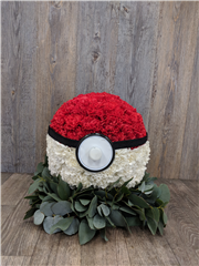 Pokémon ball