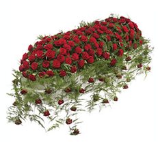 all red rose trailing casket spray