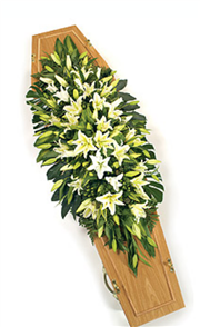 all white lily casket