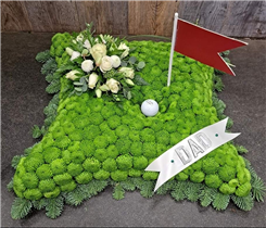 Golf course cushion