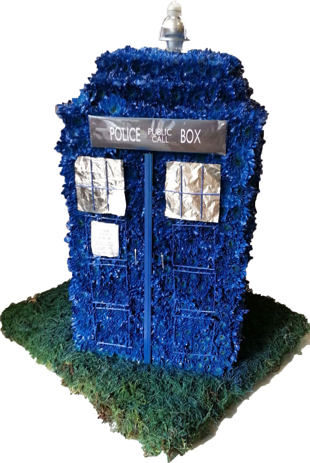 Eileen Jenkins tardis